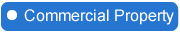 Commercial Property